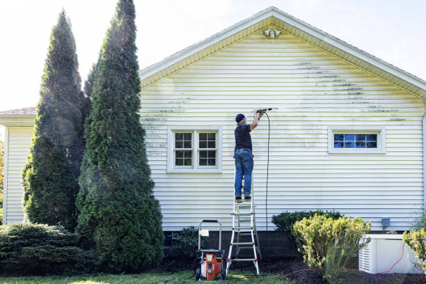 Best Building Exterior Washing  in Riverside, MD
